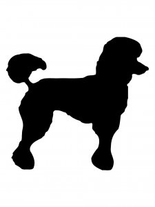 Poodle Stencil 7