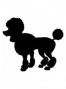 Poodle Stencil 8