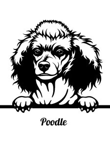 Poodle Stencil 9