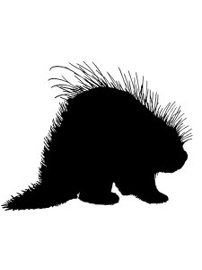 Porcupine Stencil 1