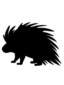 Porcupine Stencil 7