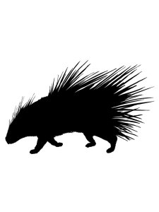 Porcupine Stencil 8