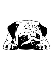 Pug Stencil 3