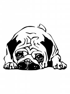 Pug Stencil 4
