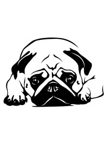 Pug Stencil 8