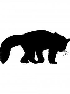 Red Panda Stencil 1
