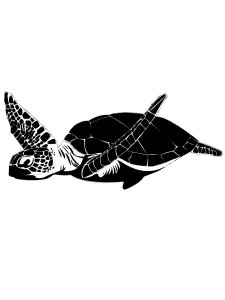 Sea Turtle Stencil 2
