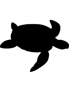 Sea Turtle Stencil 3