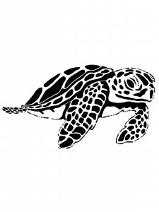 Sea Turtle Stencil 4