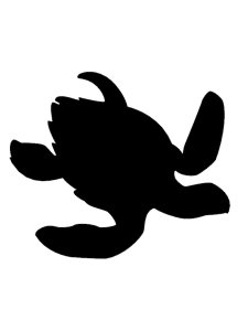 Sea Turtle Stencil 6