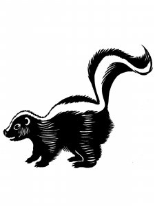 Skunk Stencil 1