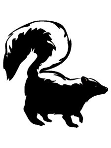 Skunk Stencil 5