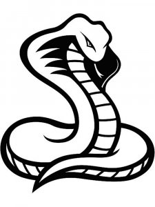 Snake Stencils 15