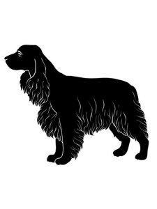 Spaniel Stencil 1