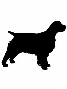 Spaniel Stencil 2