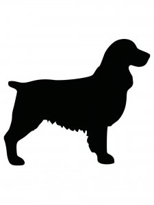 Spaniel Stencil 3