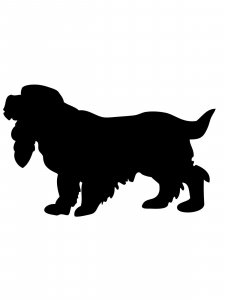 Spaniel Stencil 4