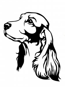 Spaniel Stencil 5