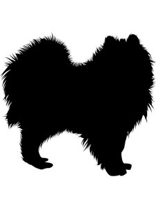 Spitz Stencil 1