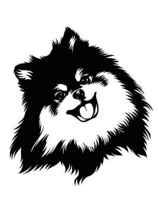 Spitz Stencil 2