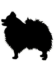 Spitz Stencil 3
