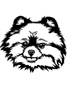 Spitz Stencil 5
