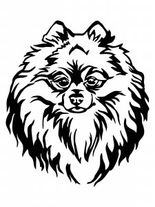 Spitz Stencil 6