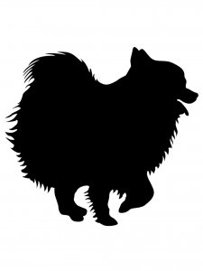 Spitz Stencil 7