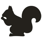 Squirrel stencils