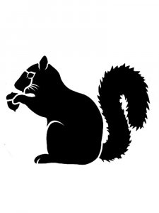 Squirrel Stencils 13