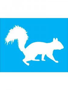 Squirrel Stencils 5