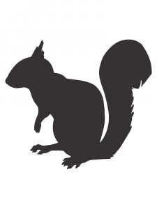 Squirrel Stencils 8