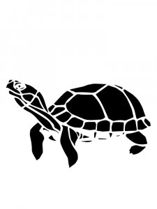 Turtle Stencils 13