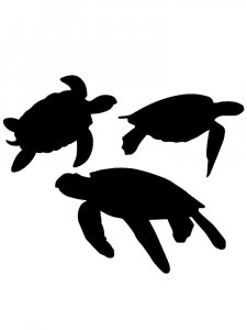 Turtle Stencils 14