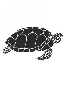 Turtle Stencils 2