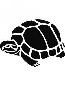 Turtle Stencils 20