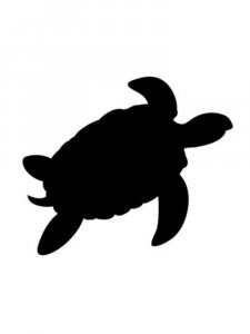 Turtle Stencils 7
