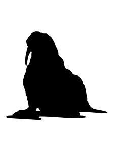 Walrus Stencil 1