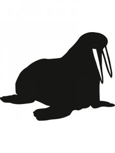 Walrus Stencil 3