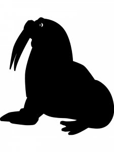 Walrus Stencil 5
