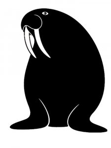 Walrus Stencil 7