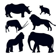 Wild Animals stencils