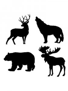 Wild Animals Stencils 16