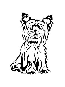 Yorkshire Terrier Stencil 10