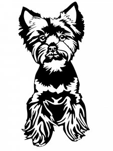 Yorkshire Terrier Stencil 13