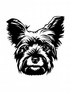 Yorkshire Terrier Stencil 14