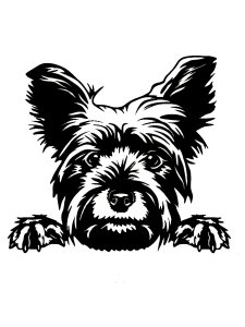 Yorkshire Terrier Stencil 18