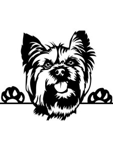 Yorkshire Terrier Stencil 6