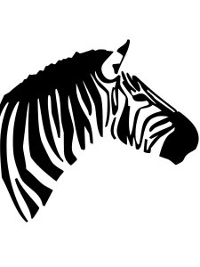 Zebra Stencils 11