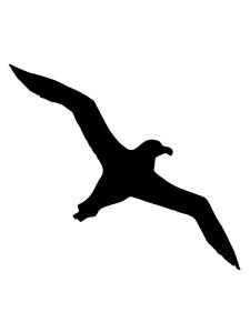 Albatross Stencil 1